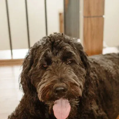 80c82e 6db39133f9234b499a416152b0c51f7a~mv2